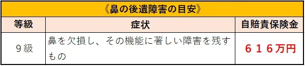 鼻の後遺障害の目安